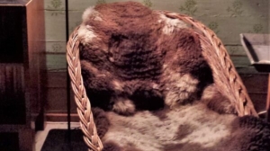 Gemütliche Leseecke